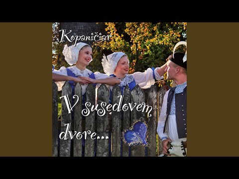 Muzikanti, Vi Ste Si