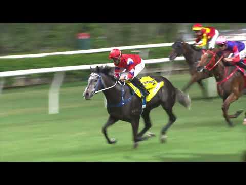 28/9/2022 (54) Nearly Fine - Vincent Ho