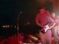 Jellygoose - Millencolin