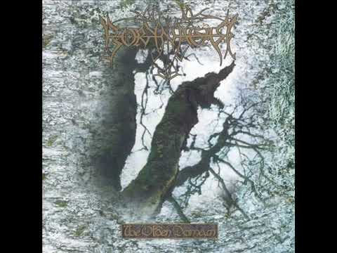 Borknagar ~ The olden domain {full album}