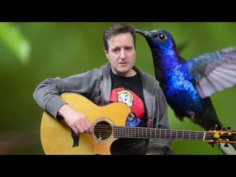 Hummingbird - John Mayer - Guitar Lesson with TAB