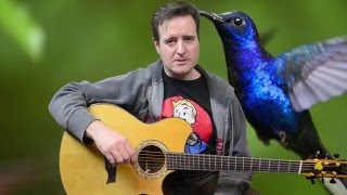 Hummingbird - John Mayer - Guitar Lesson with TAB