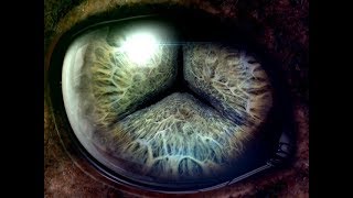 Robert Miles - In My Dreams - Civilizations in the Universe