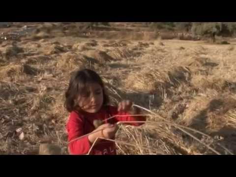 فيلم البيدر
