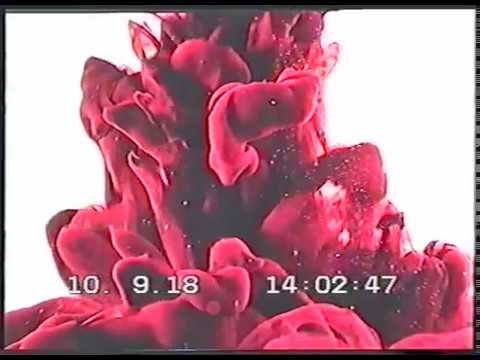 Uncle Wellington - Orange Walk (Official Video)