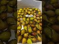 How to Dry Fresh Figsl #garden, #figs, #shorts