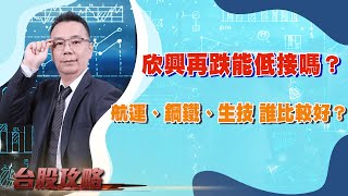 欣興再跌能低接嗎？航運、鋼鐵、生技 誰比較好？ (圖)