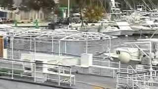 Genaro Escalante, torre de control.divx