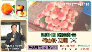 ✨변화에 대응하는 복숭아 재배(4) _ 복숭아 병해와 살균제 / 세균구멍병, 잿빛무늬병, 살균제