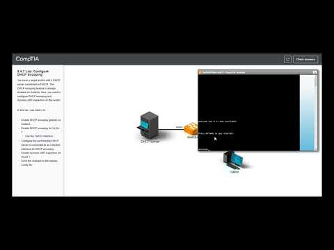 Testout | Network + | 9.4.7 Lab: Configure DHCP Snooping