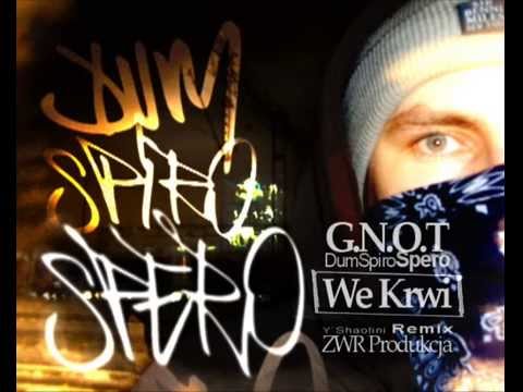 GNOT - "We Krwi" (Y`Shaolini Remix)