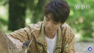 【TFBOYS 王俊凱】王俊凱 《十九歲的時差》花絮  裡面有夏日，清風，森林，小鹿，還有皮皮凱(｡◕∀◕｡)  【Karry Wang Junkai】