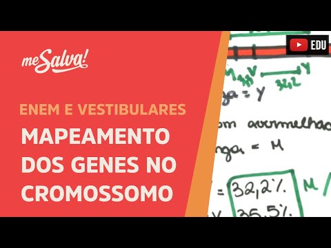 Me Salva! GEN30 - Genética - Mapeamento dos genes no cromossomo