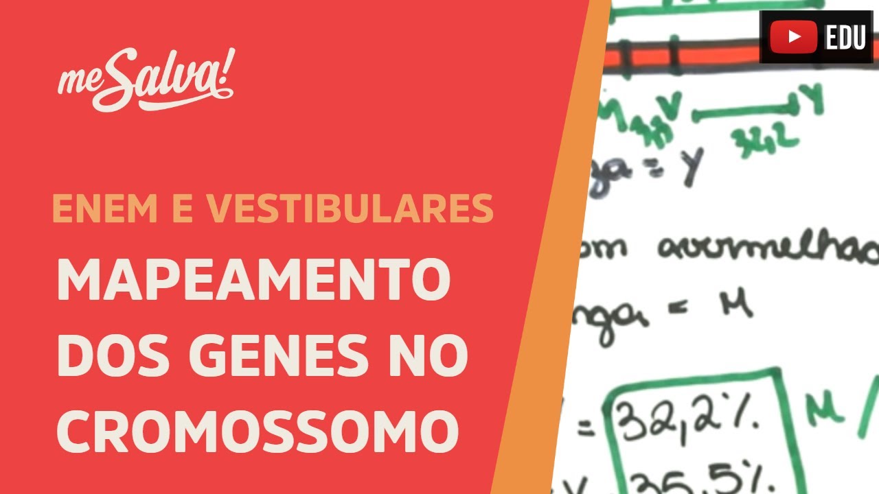 Me Salva! GEN30 - Genética - Mapeamento dos genes no cromossomo