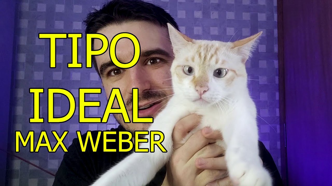 TIPO IDEAL e sociologia para Weber. Economia e Sociedade v2