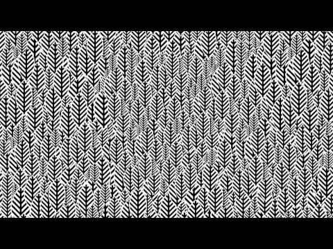 NADA ALAM video