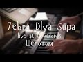 Zebra Dlya Supa - Шепотом (live at G-Records) 