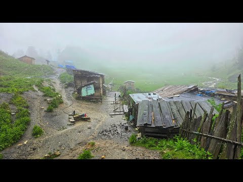 Best Life in A Nepali Mountain Village During the Rainy Season | How People Live in Nepal With Rain