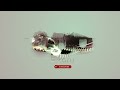 Bag Zippers Free Sound Effect By ODo Lib