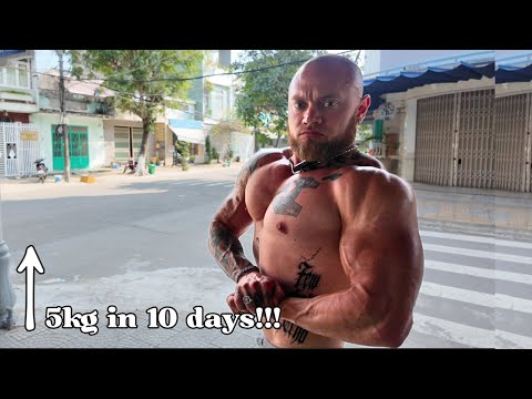 #249 - DDS | I gained 5 kg in 10 days (NO FAT)