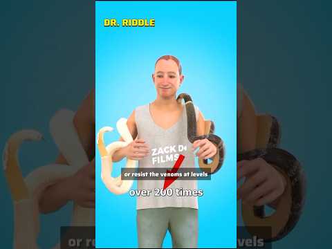 Man injects snake venom intentionally 😱 Medical student reacts #shorts #zackdfilm #health #viral