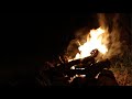 Campfire Free Stock Footage