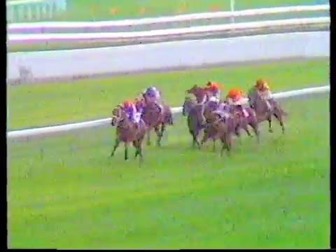 Snippets winning the 1988 Challenge Stakes