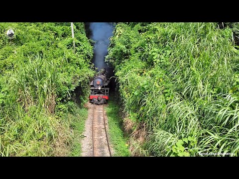 🇧🇷 Maria Fumaça saíndo do túnel / Steam coming out of the tunnel - 2021 - (Brasil)