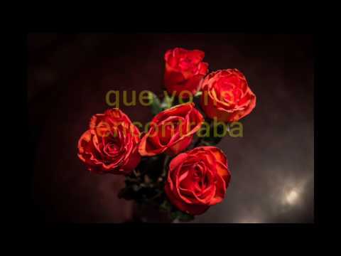 La mitad que me faltaba    Alejandro Fernandez