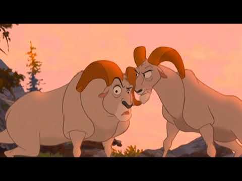 Tierra de Osos - ¡Oye Cállate!