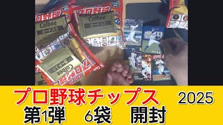 カルビー プロ野球チップス2025 第1弾 6袋　開封 - みづの廃信