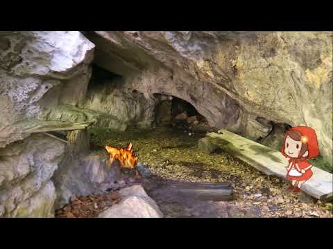 Wolfsschlucht im solothurnischen Jura  /// 8. Mai 2020