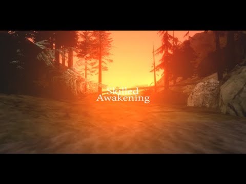 [DM] DarkFly - Skilled Awakening