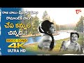 Chepa Kannula Chinnadi Song 4K Raja Babu And Meenakumari Superb Chemistry Old Telugu Songs