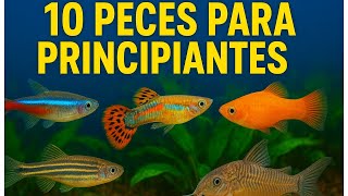 😱10 PECES de agua DULCE para PRINCIPIANTES‼