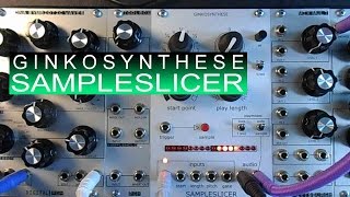 Video thumbnail for Ginko Synthese SampleSlicer 12-Bit Eurorack Sampler Demo by gstormelectro
