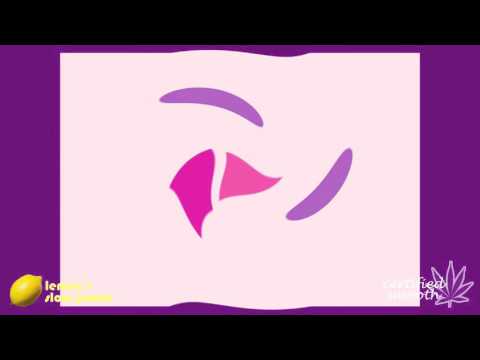 Guru Guru Gravity - SLOWED - certifiedSMOOTH