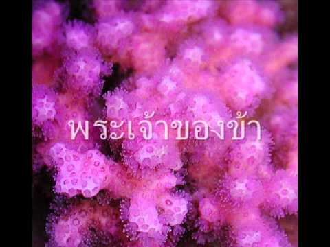 คอร์ดเพลง ข้ายกพระนามพระเจ้าของข้า - 