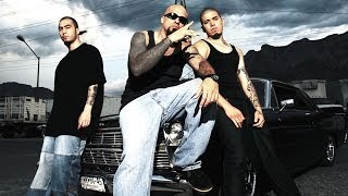 cartel de santa brillo humillo