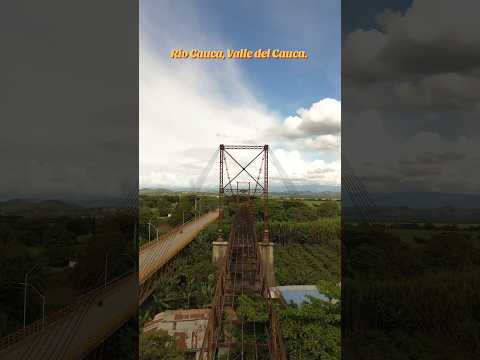 📍Paso del río Cauca entre los municipios de Zarzal y Roldanillo, en el norte del Valle del Cauca.🇨🇴