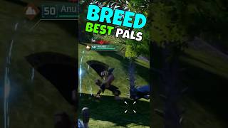 How to Breed the BEST Battle Pals | Palworld Guide