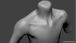 Female Body Sculpt