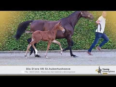 dia d'ora vr st.hubertushoeve