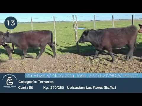 Lote VQ - Las Flores Bs As