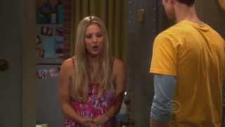 Big Bang Theory&#39;s Laugh Track Replaced With a Vacuum Cleaner