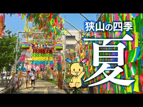 狭山市　狭山の四季夏