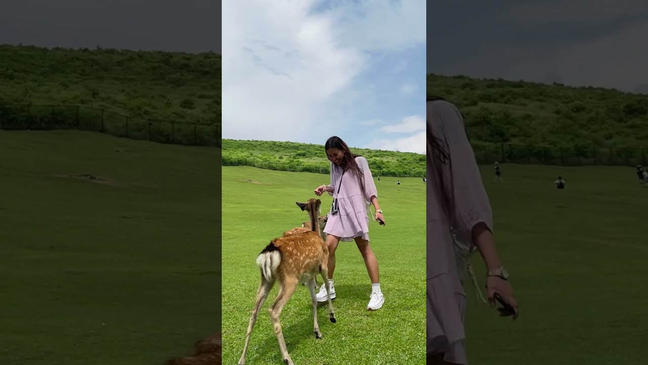 YouTube Short thumbnail