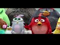 Angry Birds Toons Compilation Season 1 All Episodes Mashup 2023 New Angrybirds29