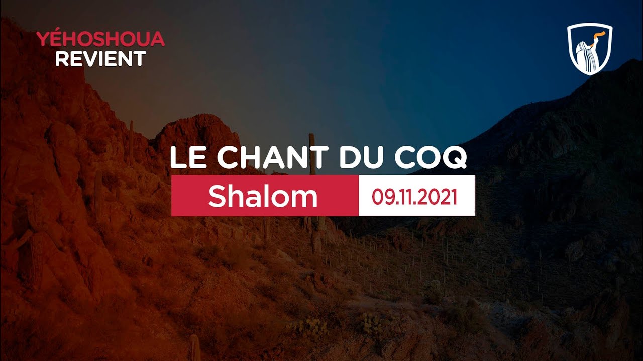 Thumbnail of video: Shalom