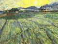 Humility (Wim Mertens - Van Gogh - Maharaji)